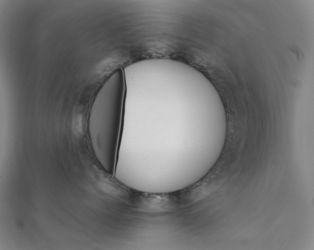 X0000112070768200908181220