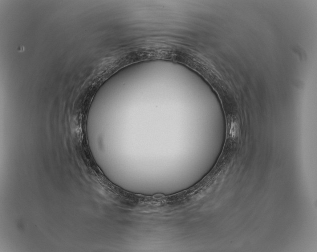 X0000112070771200908181219