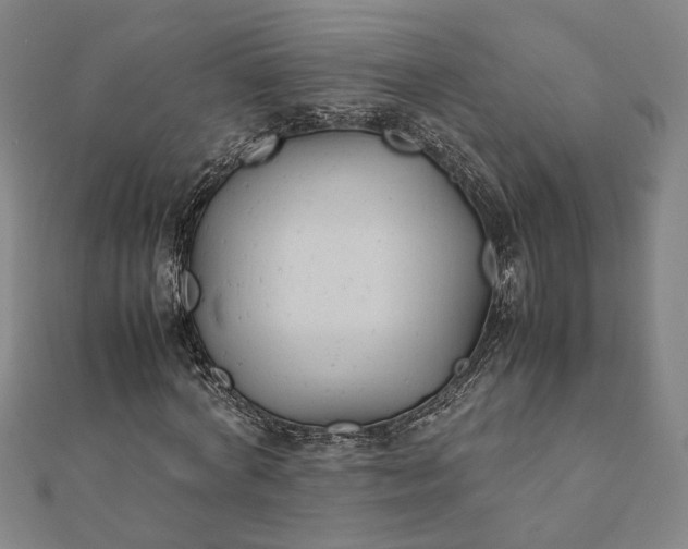 X0000112070772200908181219