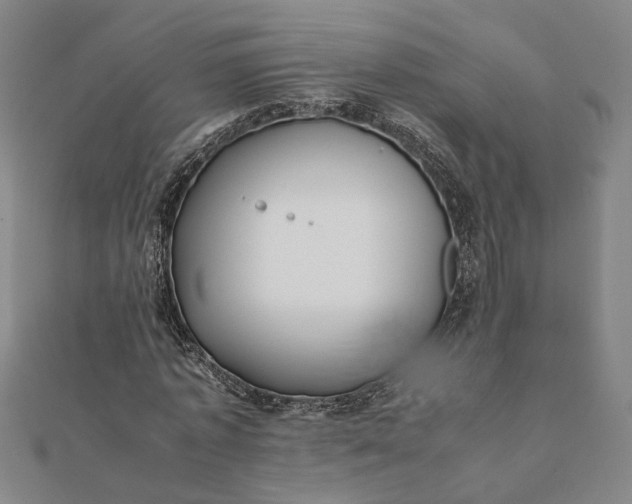 X0000112070773200908181219