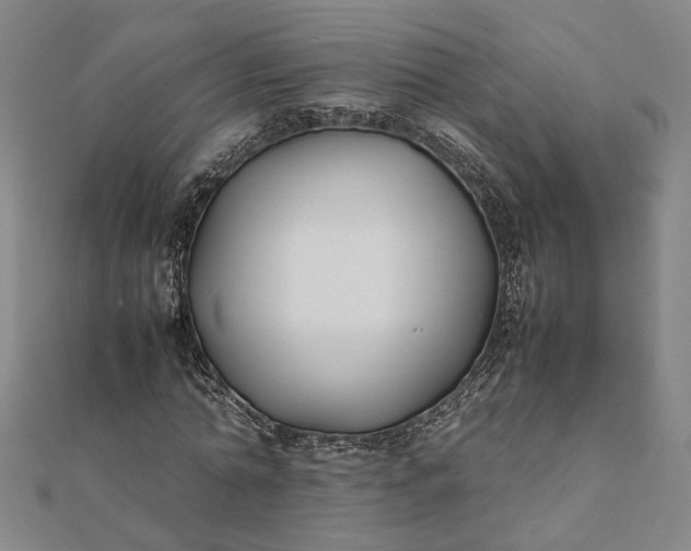 X0000112070774200908181219