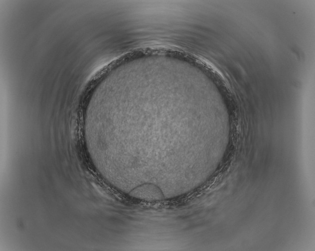 X0000112070775200908181219