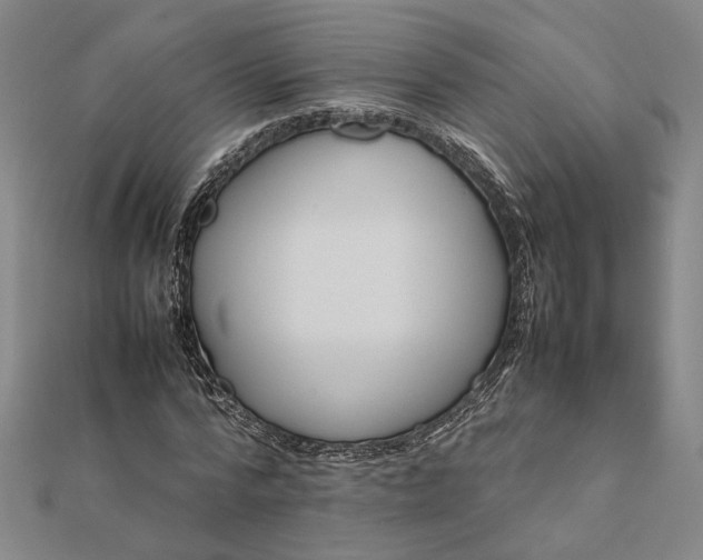 X0000112070776200908181219