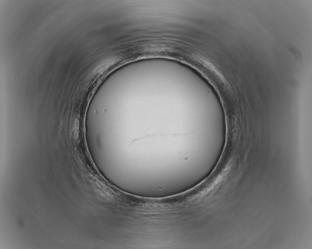 X0000112070777200908181219