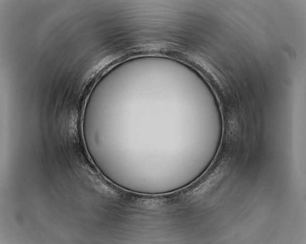X0000112070778200908181219