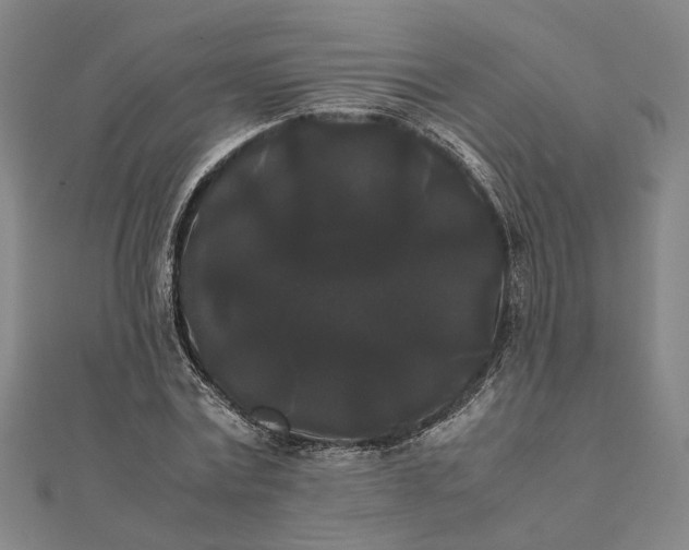 X0000112070779200908181219