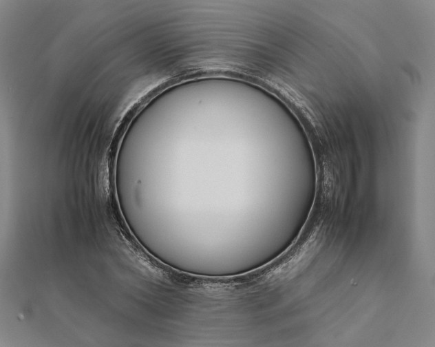X0000112070782200908181219