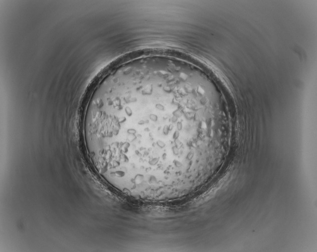 X0000112070783200908181219