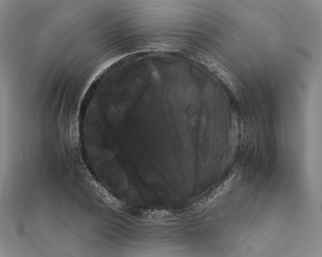 X0000112070784200908181219