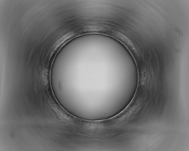 X0000112070786200908181219