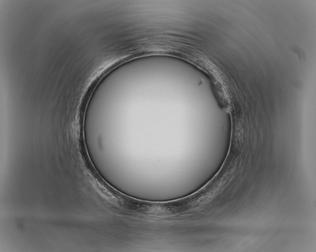 X0000112070787200908181219