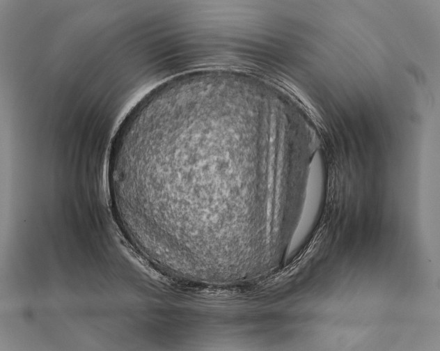 X0000112070788200908181219