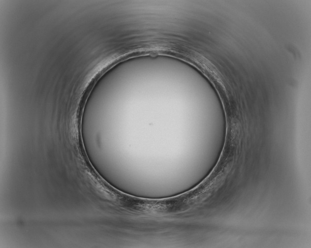 X0000112070789200908181219
