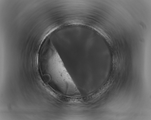 X0000112070790200908181219