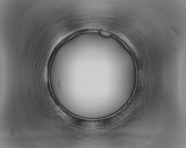 X0000112070791200908181219