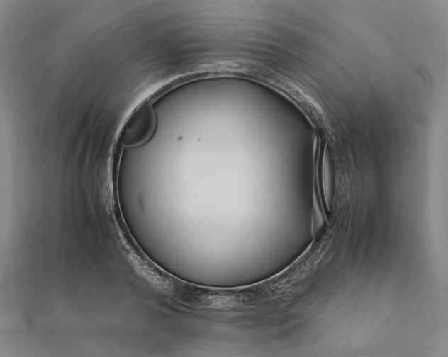 X0000112070792200908181219