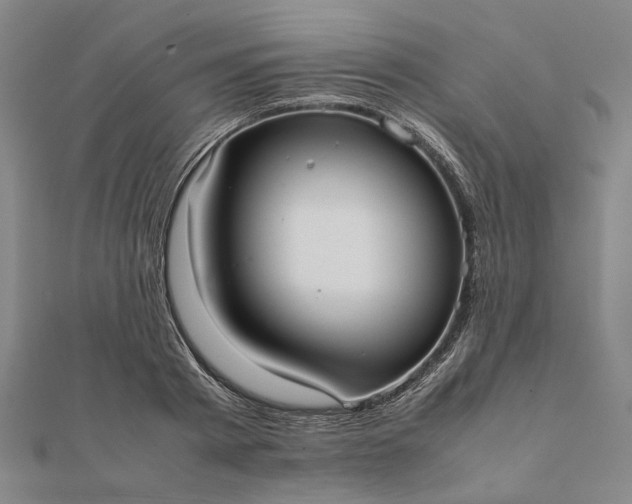 X0000112070793200908181219