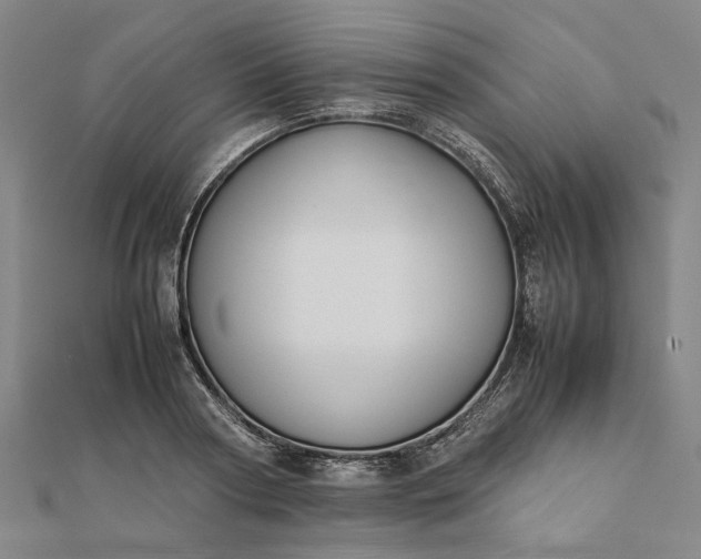 X0000112070794200908181219