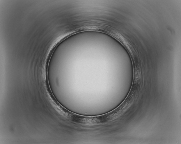 X0000112070795200908181219
