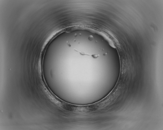X0000112070796200908181219