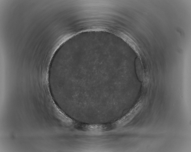 X0000112070797200908181219