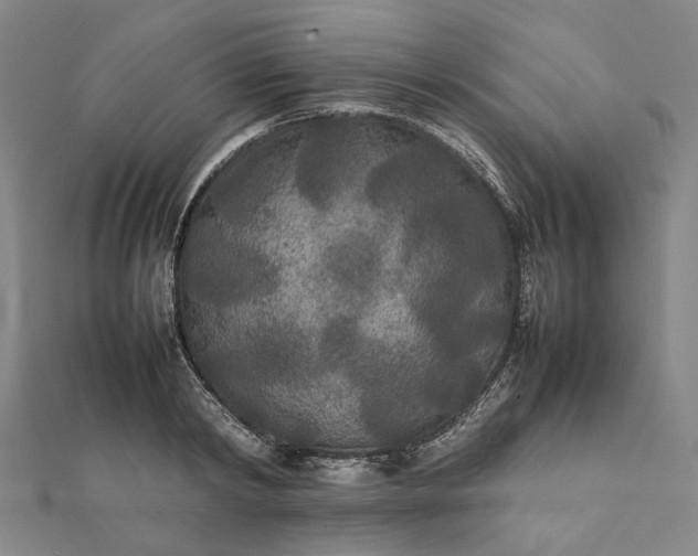 X0000112070798200908181219