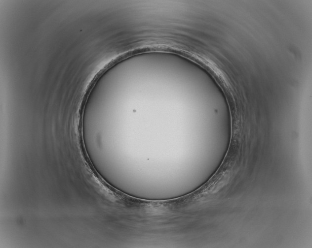 X0000112070799200908181219