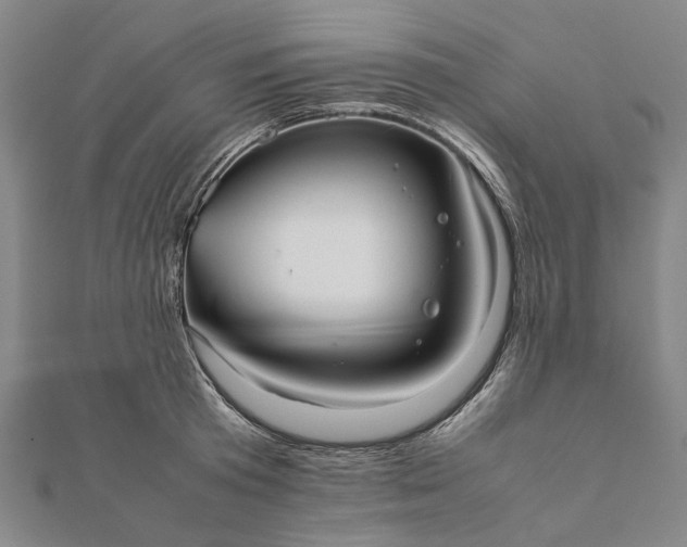 X0000112070801200908181219