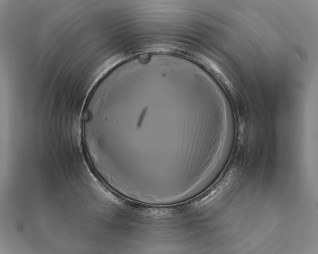 X0000112070802200908181219