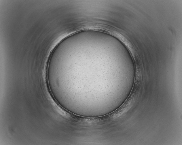 X0000112070803200908181219