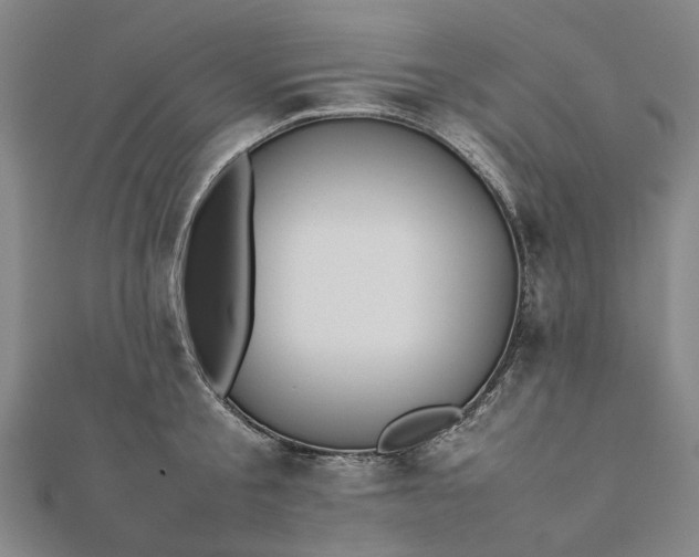 X0000112070805200908181219