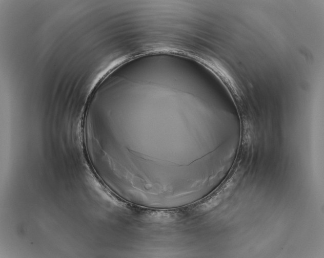X0000112070806200908181219