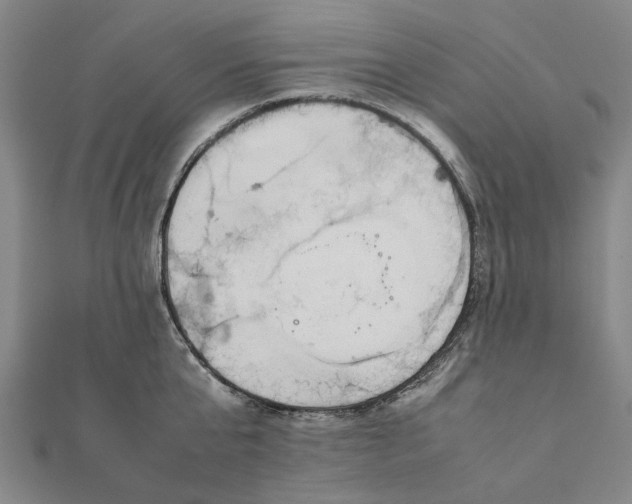 X0000112070807200908181219