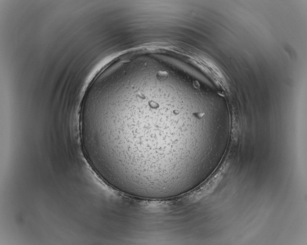 X0000112070808200908181219