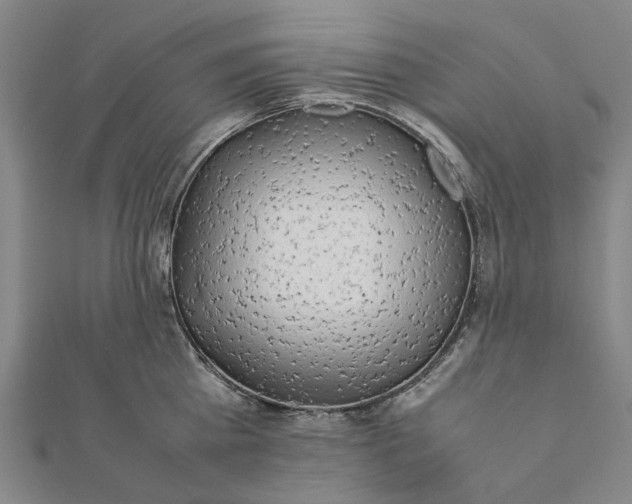 X0000112070809200908181219