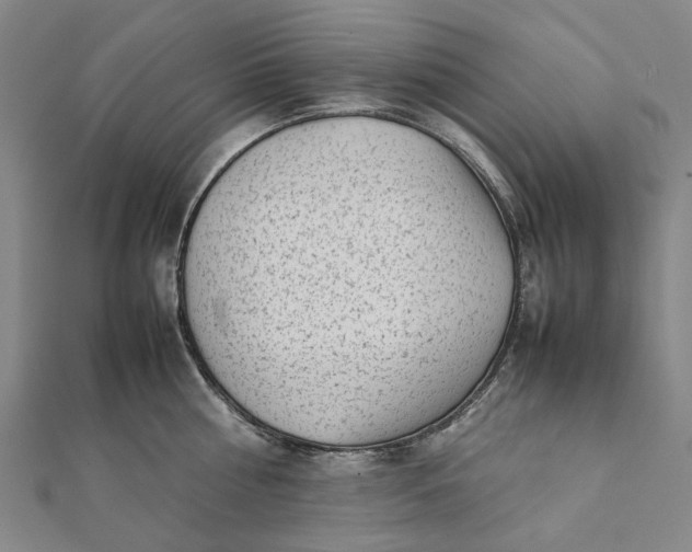 X0000112070810200908181219