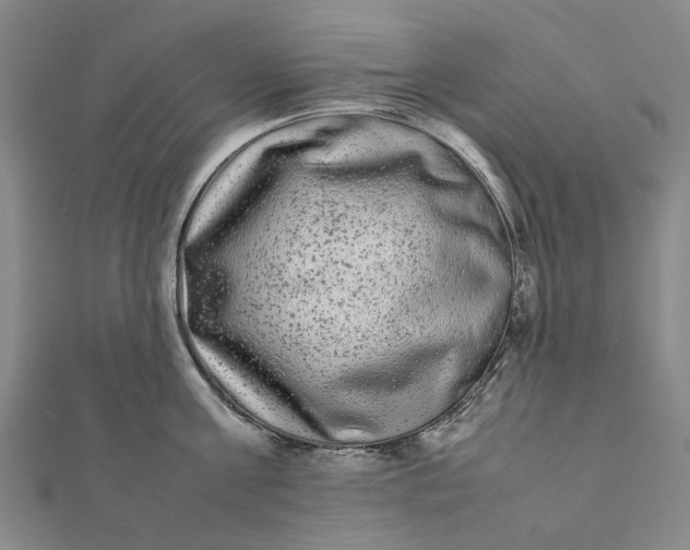 X0000112070811200908181219