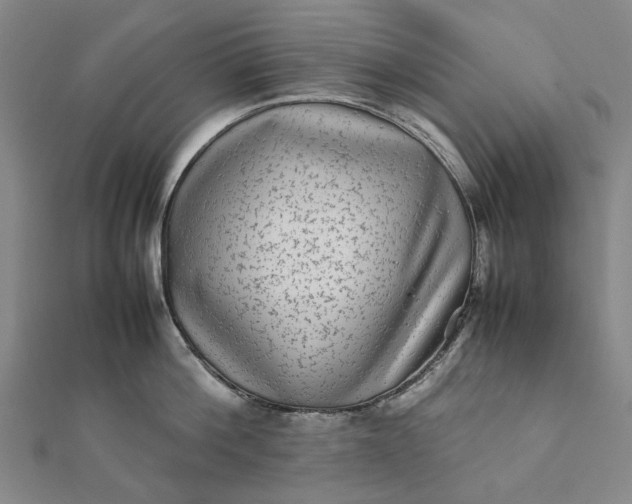 X0000112070812200908181219