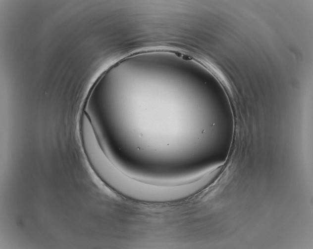 X0000112070813200908181219