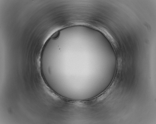 X0000112070814200908181218