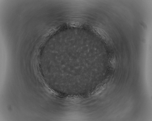 X0000112070817200908181218