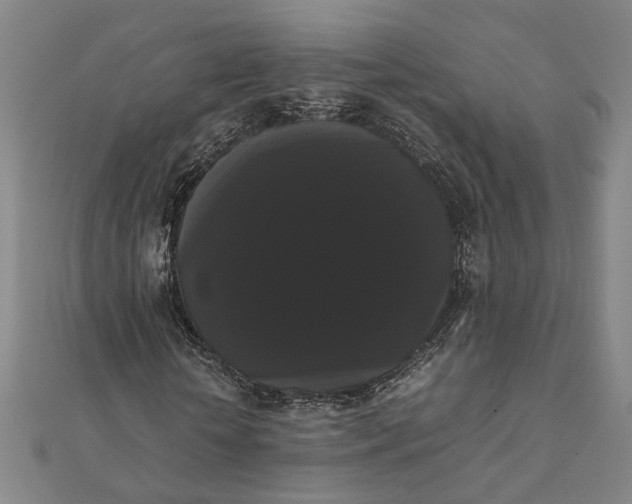 X0000112070818200908181218