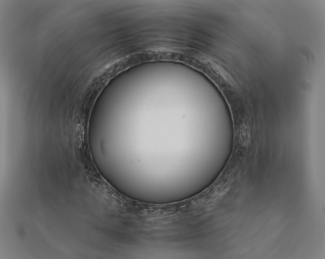 X0000112070821200908181218