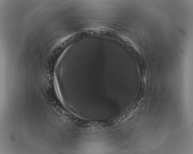 X0000112070822200908181218