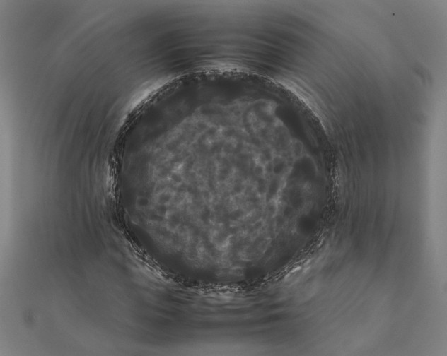 X0000112070823200908181218