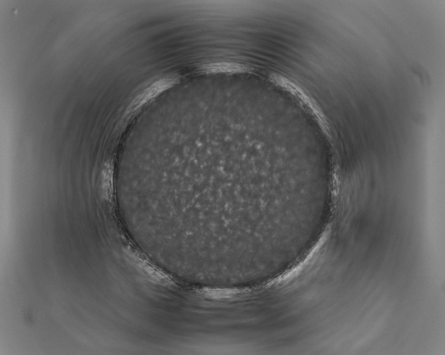 X0000112070825200908181218