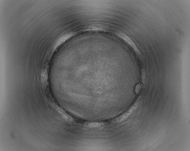 X0000112070826200908181218