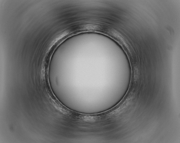 X0000112070827200908181218