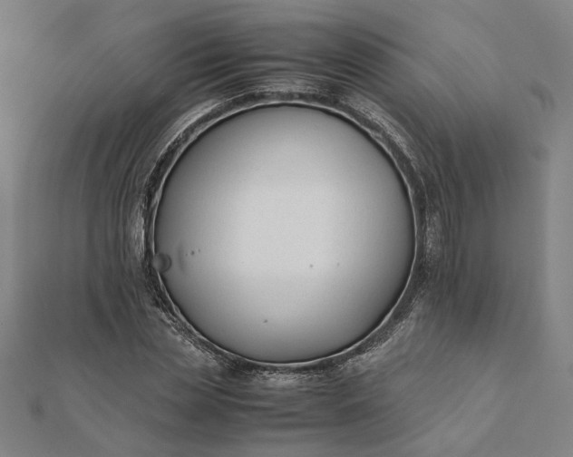 X0000112070829200908181218