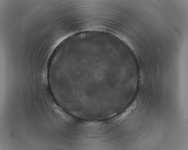 X0000112070830200908181218